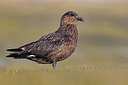 BUITEN BEELD Foto: 349073