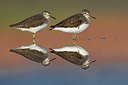 BUITEN BEELD Foto: 349082
