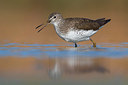 BUITEN BEELD Foto: 349083
