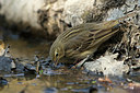BUITEN BEELD Foto: 349203