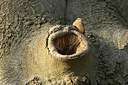 BUITEN BEELD Foto: 349206