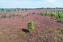 BUITEN BEELD Foto: 349213