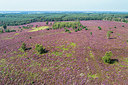 BUITEN BEELD Foto: 349215
