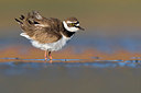 BUITEN BEELD Foto: 349241