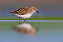 BUITEN BEELD Foto: 349244