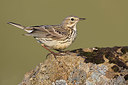 BUITEN BEELD Foto: 349269