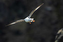 BUITEN BEELD Foto: 349309