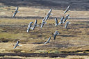 BUITEN BEELD Foto: 349372