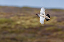 BUITEN BEELD Foto: 349430