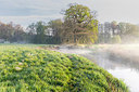 BUITEN BEELD Foto: 349440
