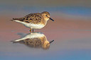 BUITEN BEELD Foto: 349666