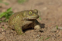 BUITEN BEELD Foto: 349759