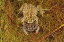 BUITEN BEELD Foto: 349790