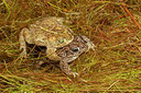 BUITEN BEELD Foto: 349808