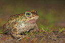 BUITEN BEELD Foto: 349811