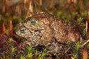 BUITEN BEELD Foto: 349813