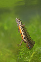 BUITEN BEELD Foto: 349830