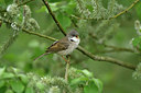 BUITEN BEELD Foto: 350100