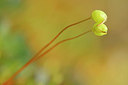 BUITEN BEELD Foto: 350226