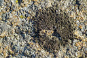 BUITEN BEELD Foto: 350238