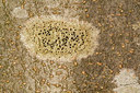 BUITEN BEELD Foto: 350245