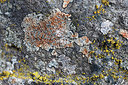 BUITEN BEELD Foto: 350268