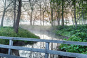BUITEN BEELD Foto: 350283