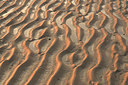 BUITEN BEELD Foto: 350397