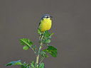 BUITEN BEELD Foto: 350457