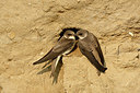 BUITEN BEELD Foto: 350476