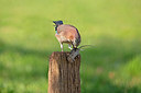 BUITEN BEELD Foto: 350606