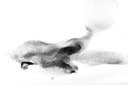 BUITEN BEELD Foto: 350646