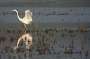 BUITEN BEELD Foto: 350752