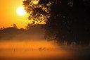 BUITEN BEELD Foto: 350782