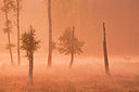 BUITEN BEELD Foto: 350790