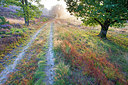 BUITEN BEELD Foto: 350822
