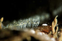 BUITEN BEELD Foto: 350980