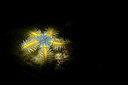 BUITEN BEELD Foto: 351101