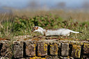 BUITEN BEELD Foto: 351382