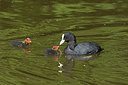 BUITEN BEELD Foto: 351421