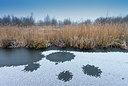 BUITEN BEELD Foto: 351461