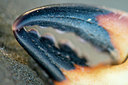 BUITEN BEELD Foto: 351508