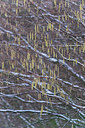 BUITEN BEELD Foto: 351532