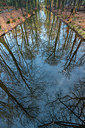 BUITEN BEELD Foto: 351611