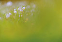 BUITEN BEELD Foto: 351630