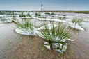 BUITEN BEELD Foto: 351651