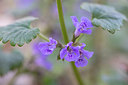 BUITEN BEELD Foto: 351702