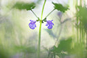 BUITEN BEELD Foto: 351707