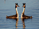 BUITEN BEELD Foto: 351780