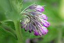 BUITEN BEELD Foto: 351905